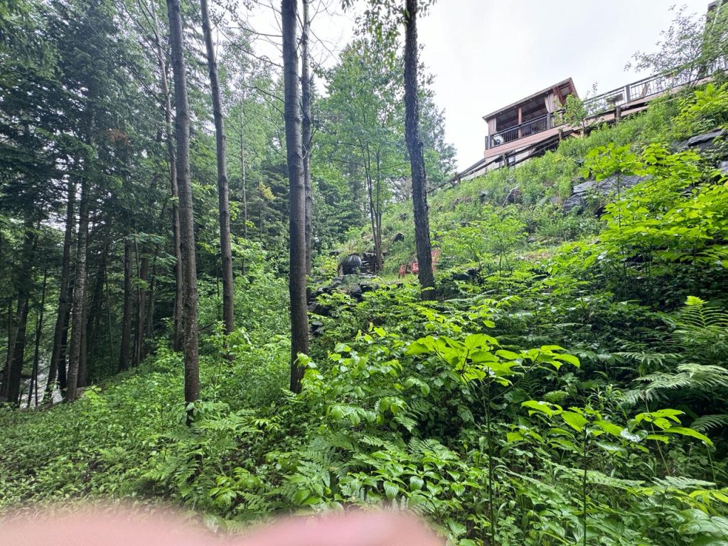 photo-2025-03-25-15-25-55